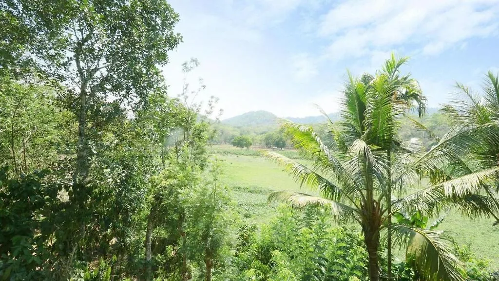 Hill Green Homestay Thekkady